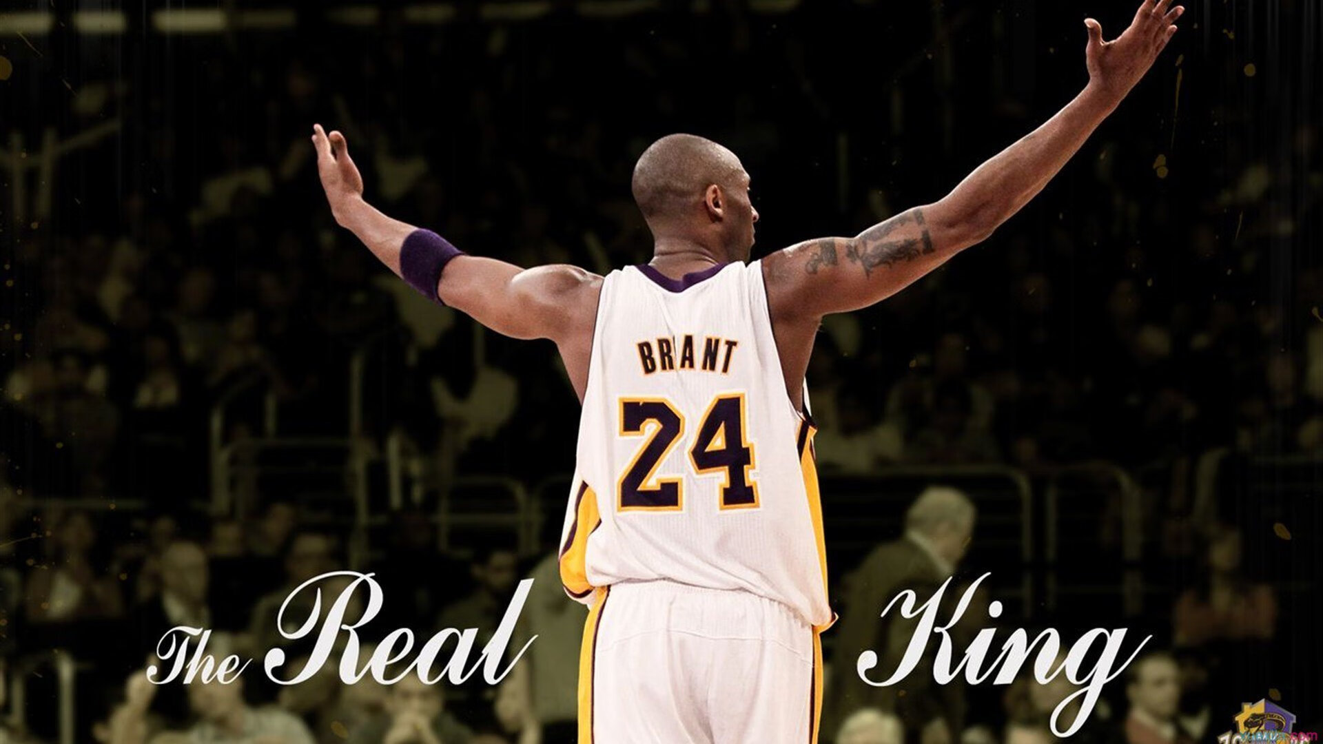 洛杉矶FC计划举办青少年足球训练营，培养未来之星，洛杉矶fc足球俱乐部